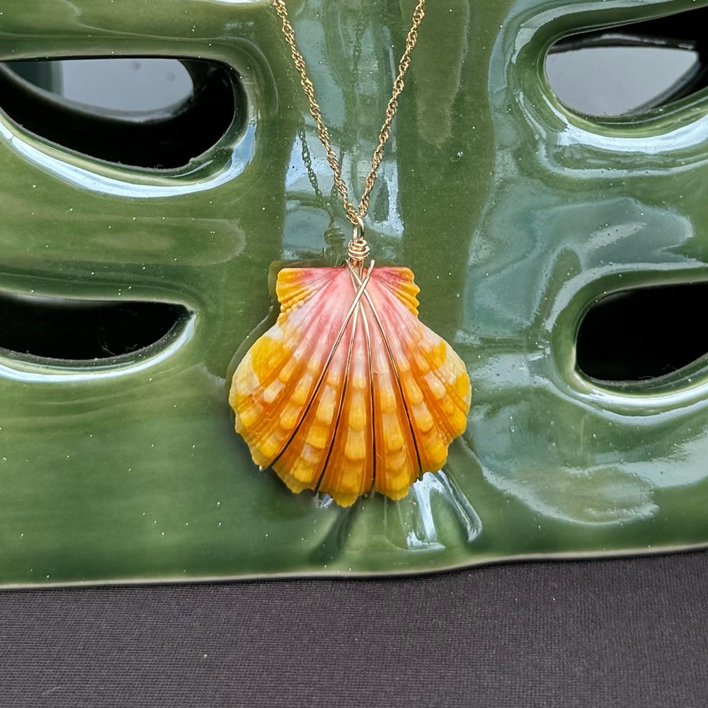 SOLD!Hawaiian Sunrise Shell pendant on 14k Solid Gold Chain🌴🌊🥰